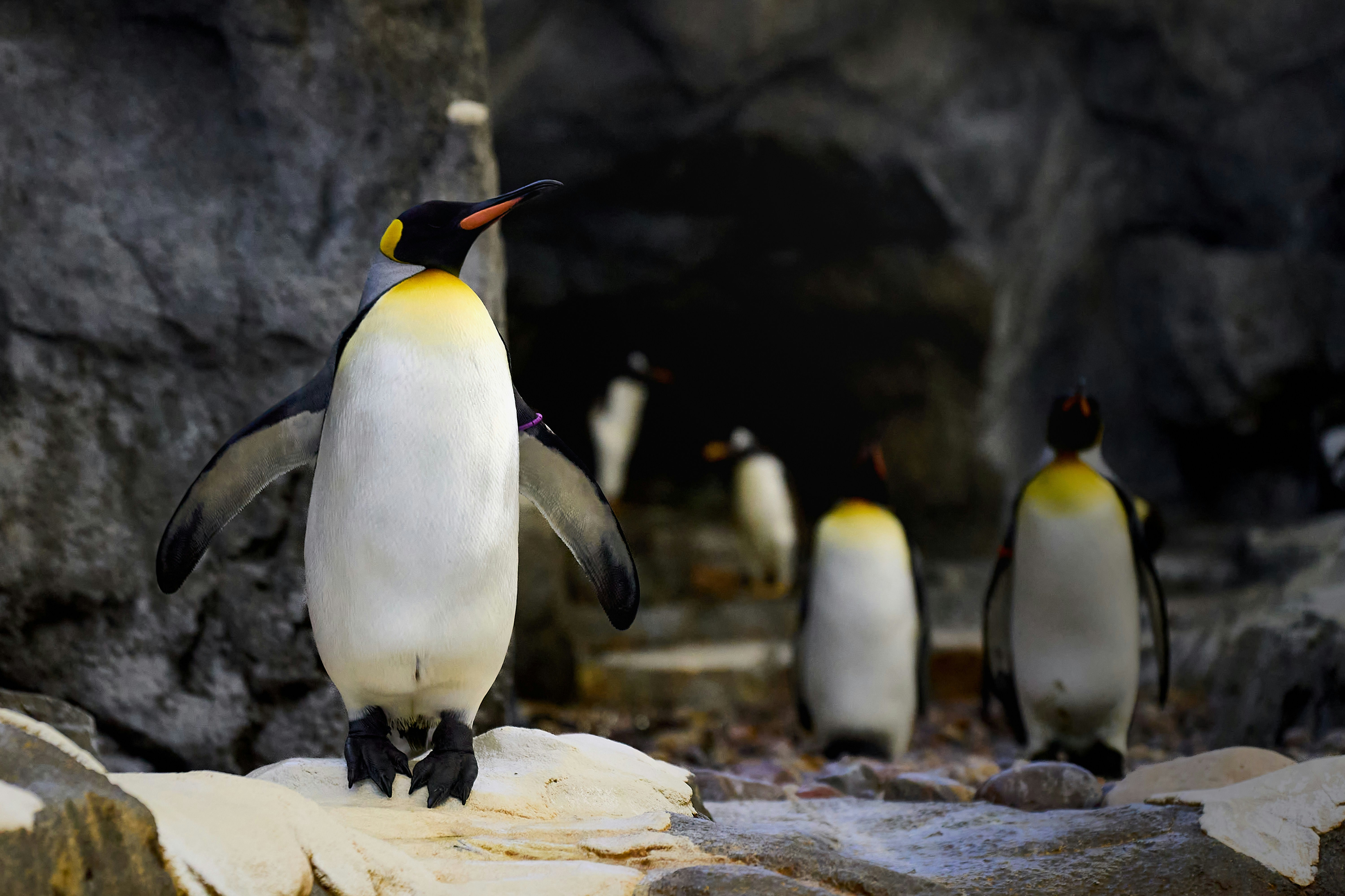 Le pouvoir de la confiance en soi. Crédits photo : Ansel Huang sur Unsplash