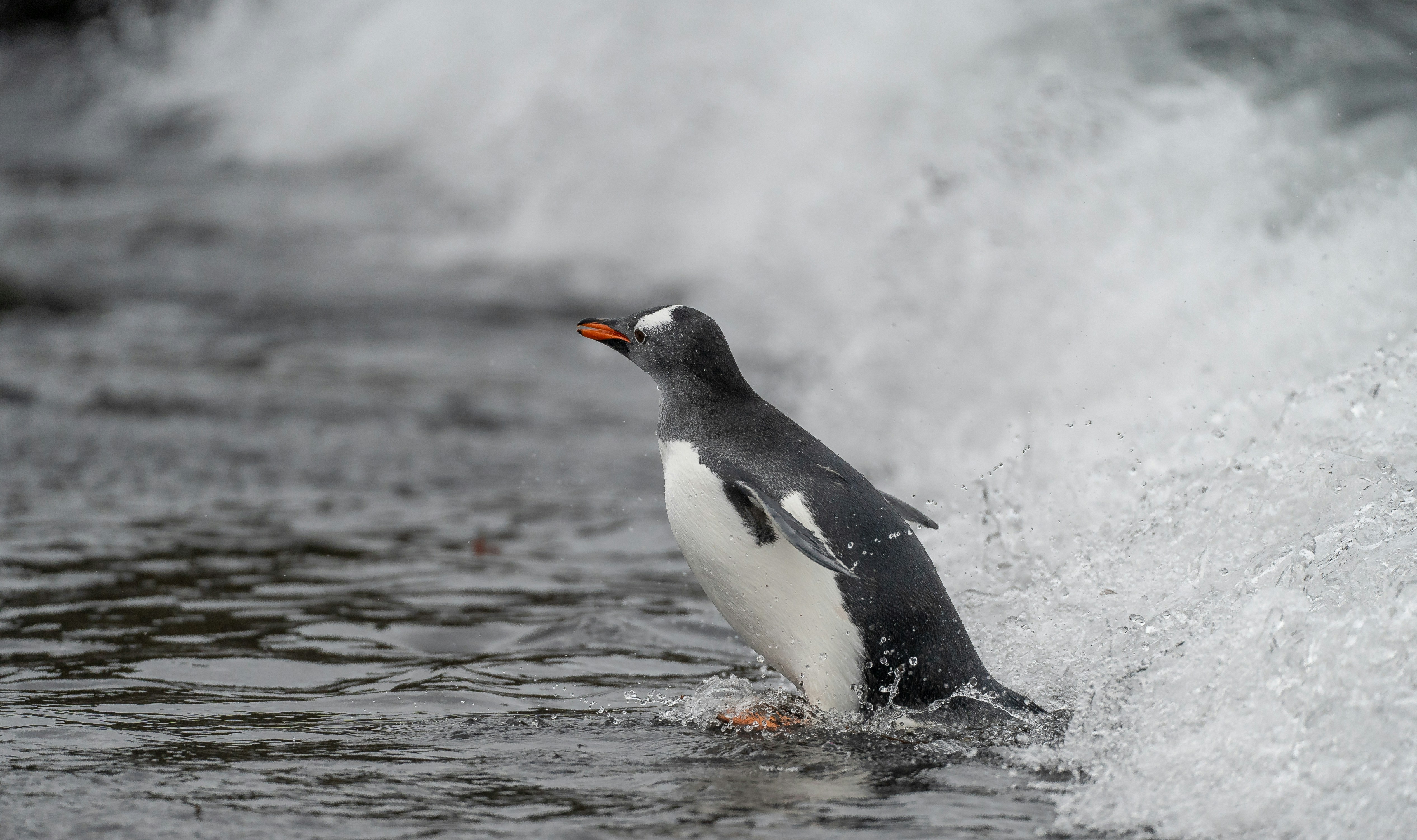 Prochaine vague dans 1 seconde ; la suivante dans 4 secondes. Crédits photo : Bob Brewer sur Unsplash
